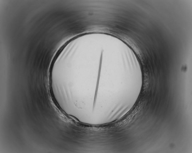 X0000099940996200806201116