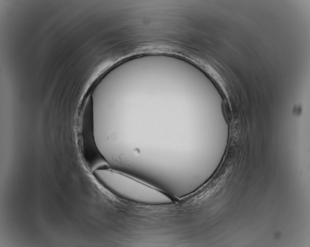 X0000099940997200806201116