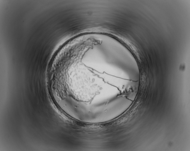 X0000099940998200806201116