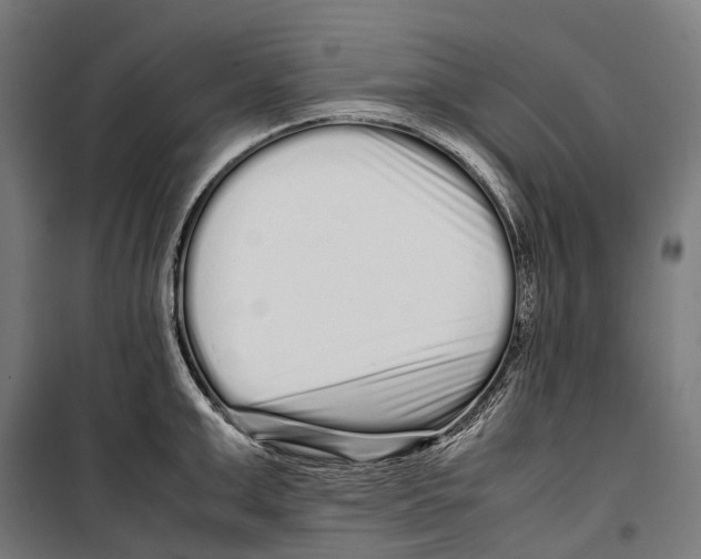 X0000099940999200806201116