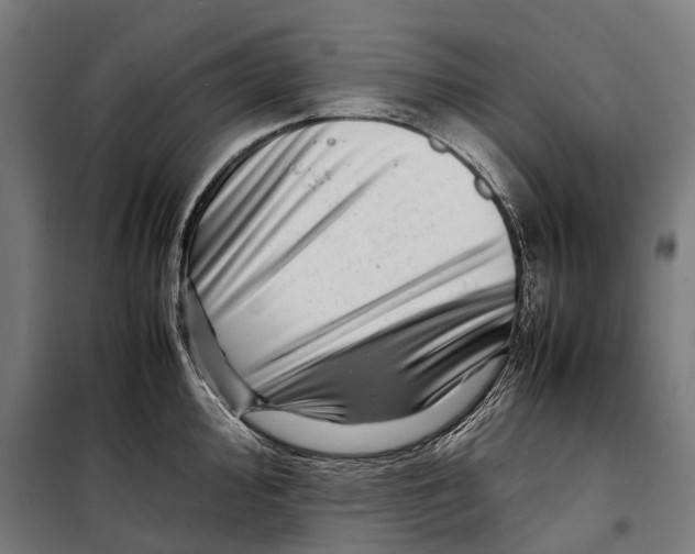 X0000099941000200806201116