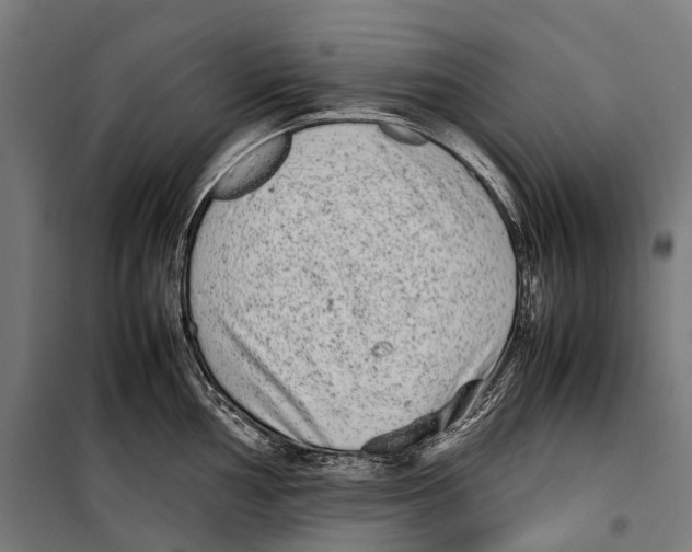 X0000099941002200806201116