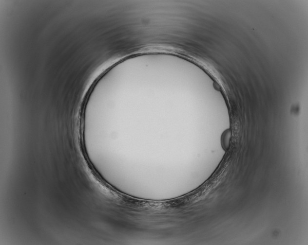 X0000099941003200806201116