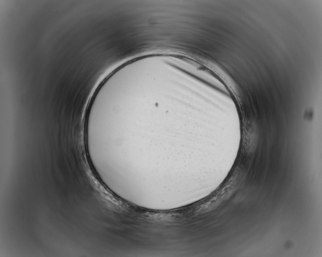 X0000099941004200806201116
