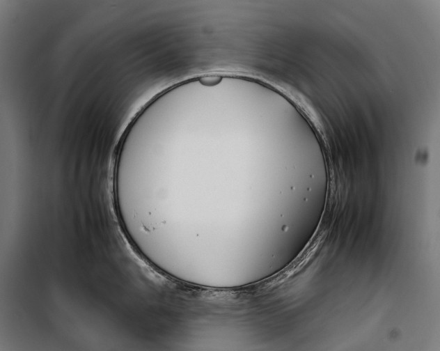 X0000099941006200806201116