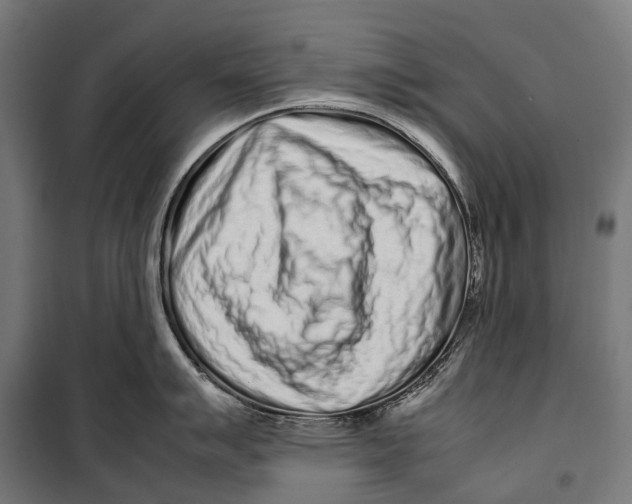 X0000099941007200806201116