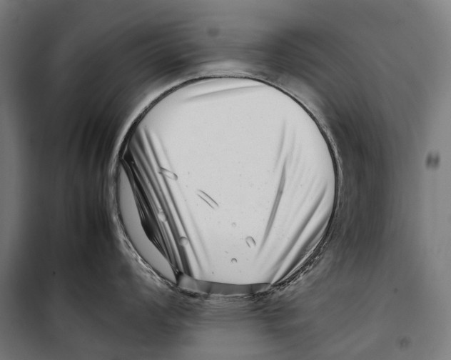 X0000099941008200806201116