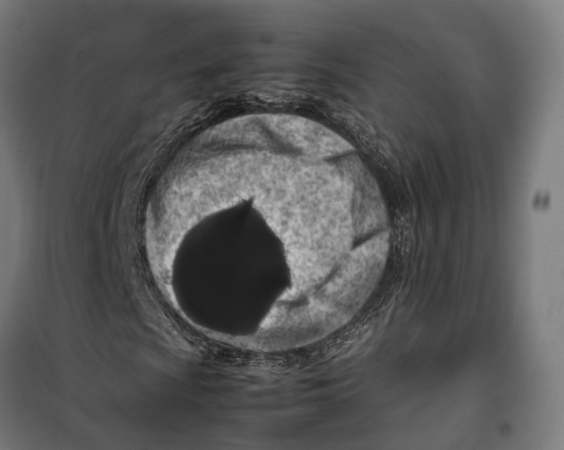 X0000099941009200806201115