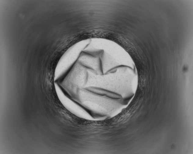 X0000099941010200806201115