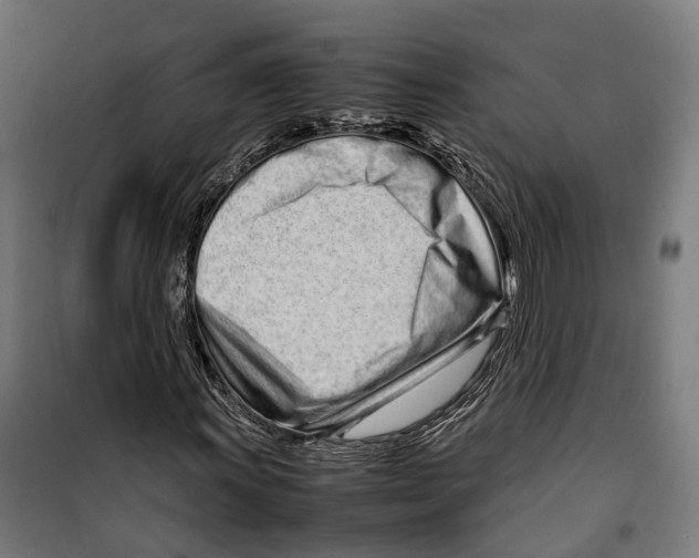X0000099941011200806201115