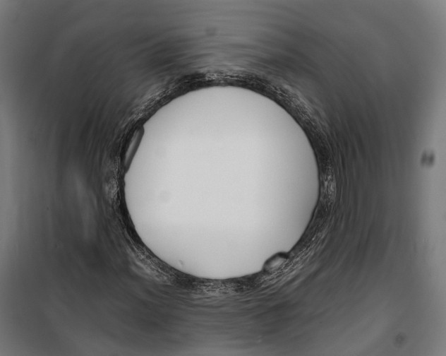 X0000099941012200806201115