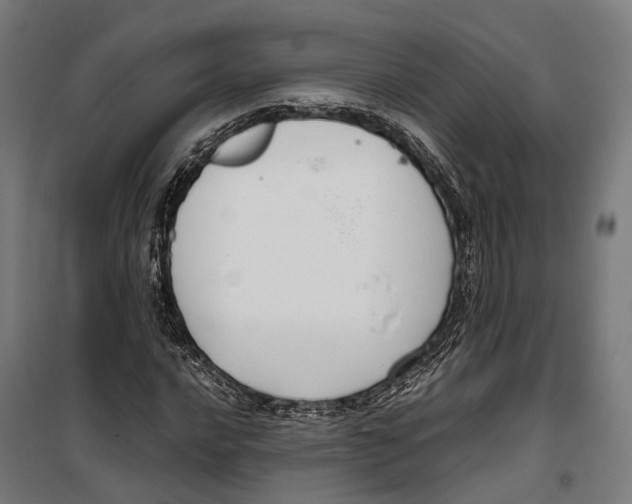 X0000099941016200806201115