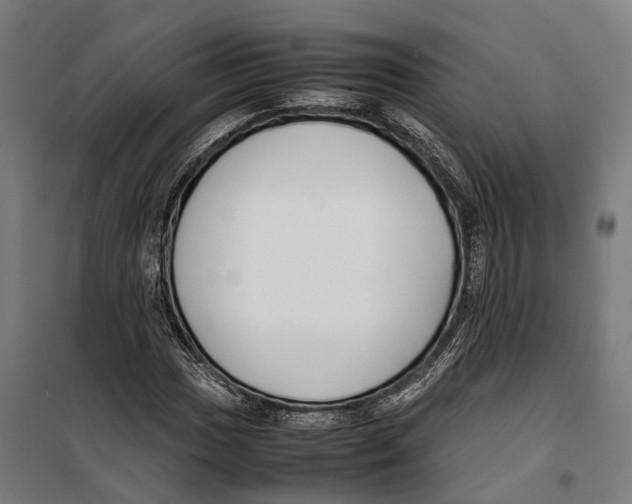 X0000099941017200806201115