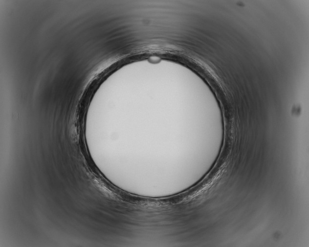 X0000099941018200806201115