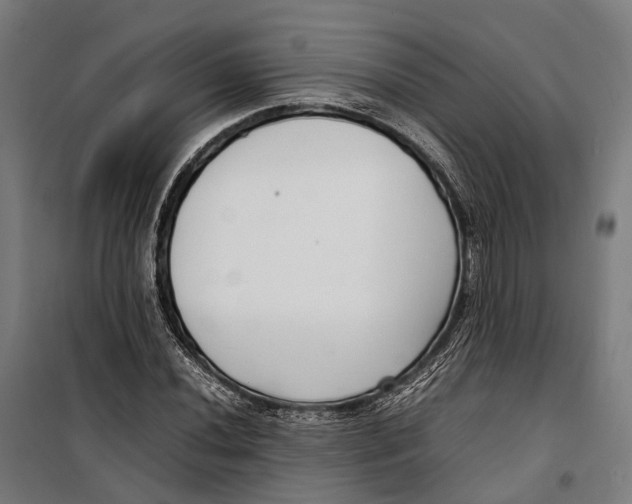 X0000099941020200806201115
