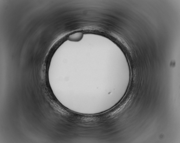 X0000099941021200806201115