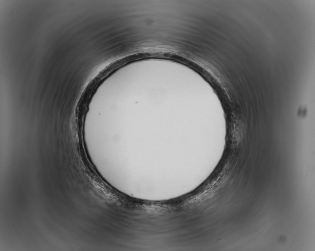 X0000099941022200806201115