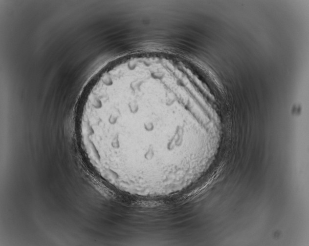 X0000099941023200806201115