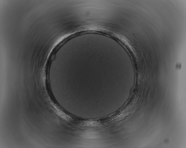 X0000099941024200806201115