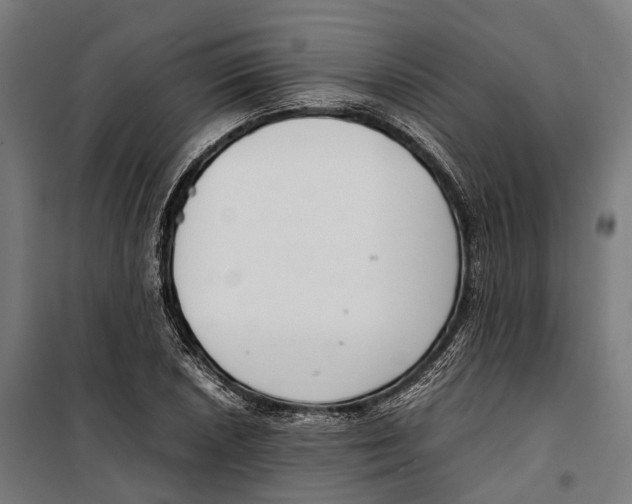 X0000099941026200806201115