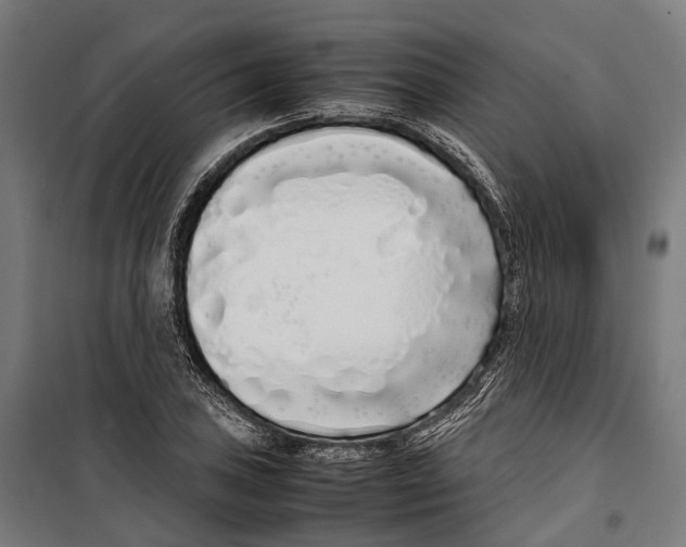 X0000099941027200806201115