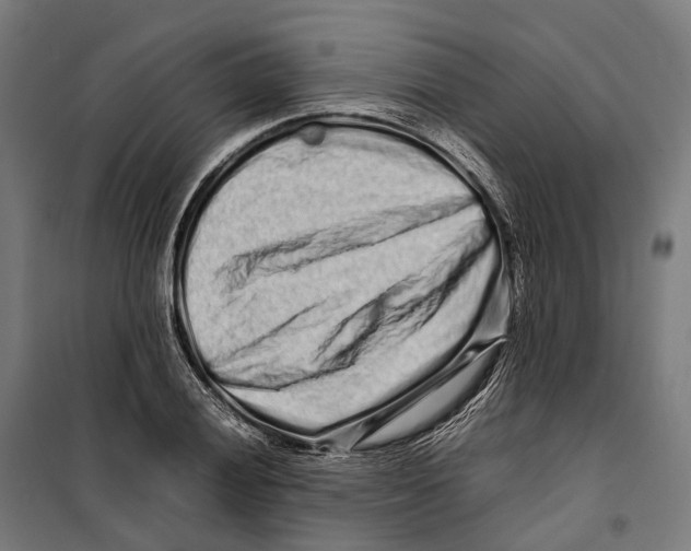 X0000099941028200806201115