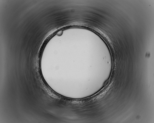 X0000099941029200806201115