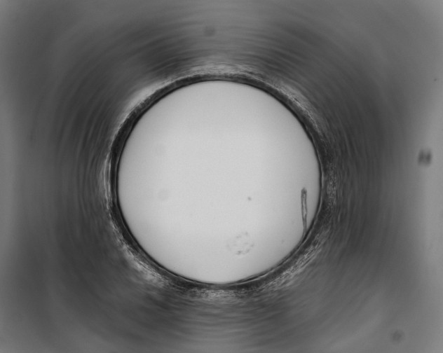 X0000099941030200806201115