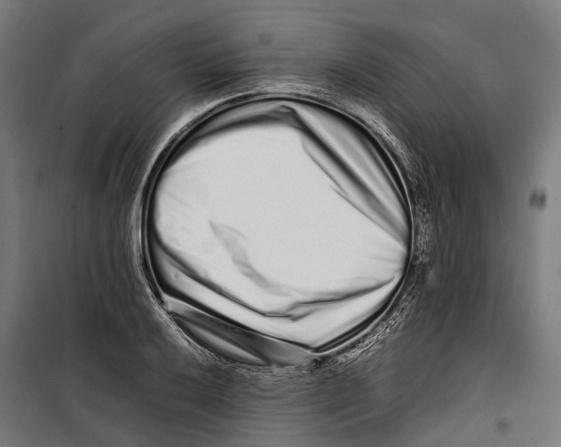 X0000099941032200806201115