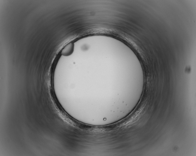 X0000099941034200806201115