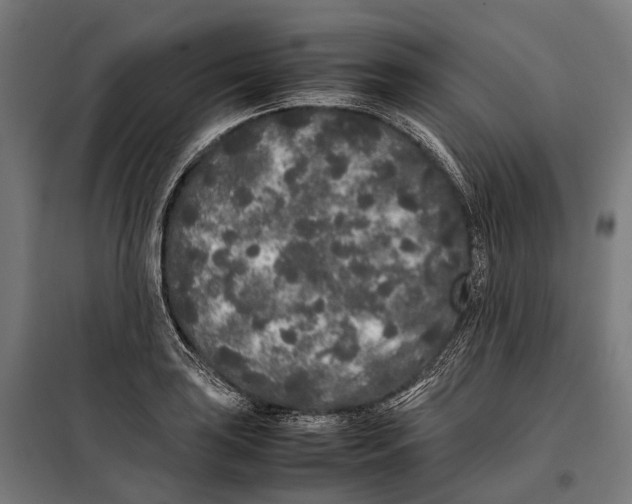 X0000099941035200806201115
