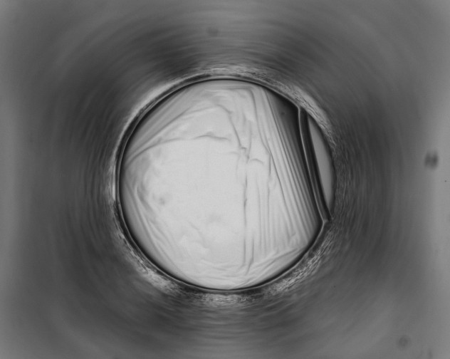 X0000099941036200806201115