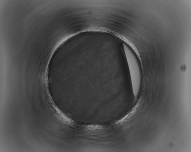 X0000099941037200806201115