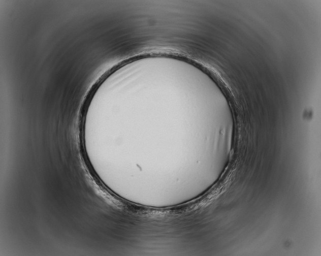 X0000099941038200806201115