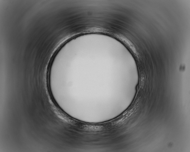 X0000099941039200806201115