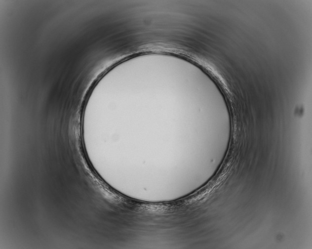 X0000099941040200806201115