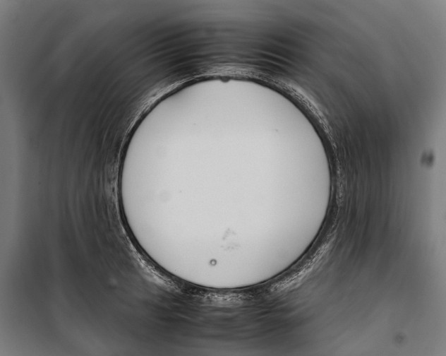 X0000099941041200806201115