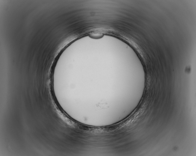 X0000099941042200806201115