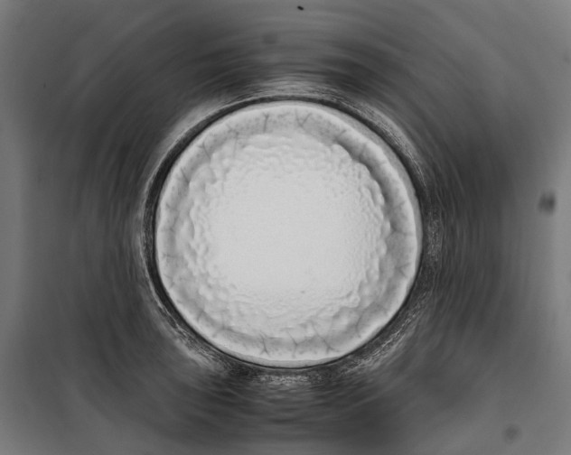 X0000099941043200806201115