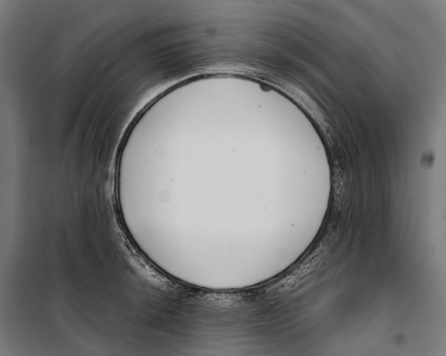 X0000099941044200806201115