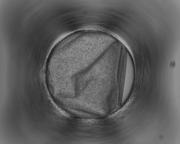 X0000099941045200806201115