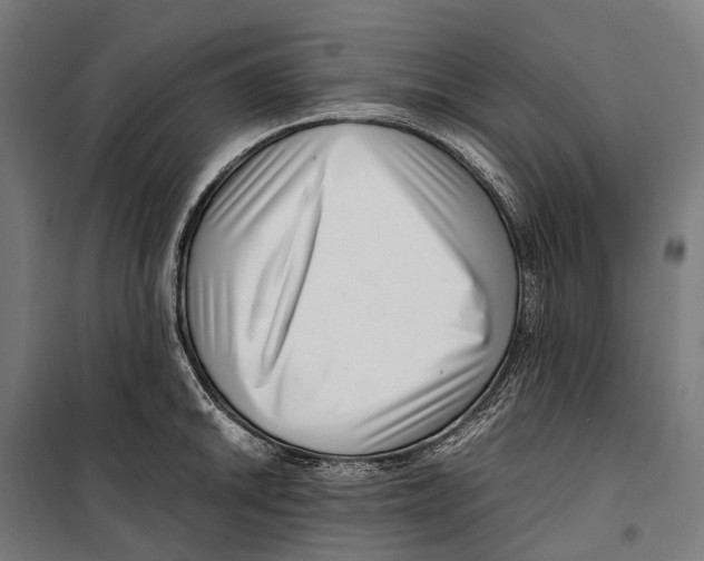 X0000099941046200806201115