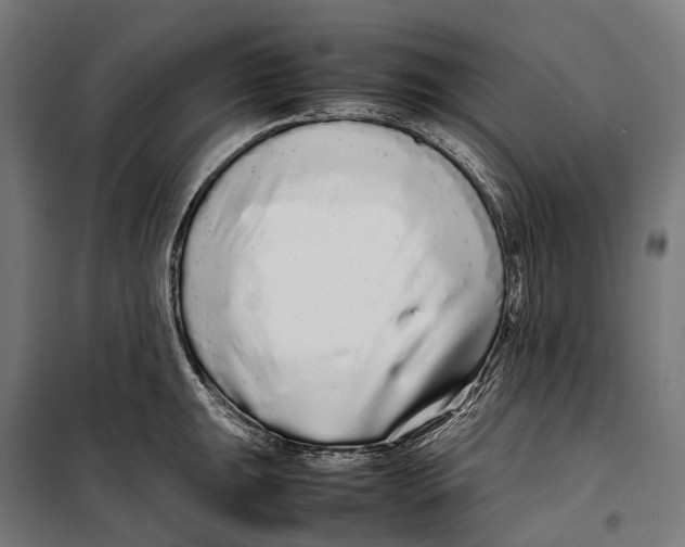 X0000099941047200806201115