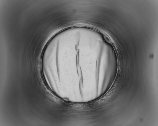 X0000099941048200806201115
