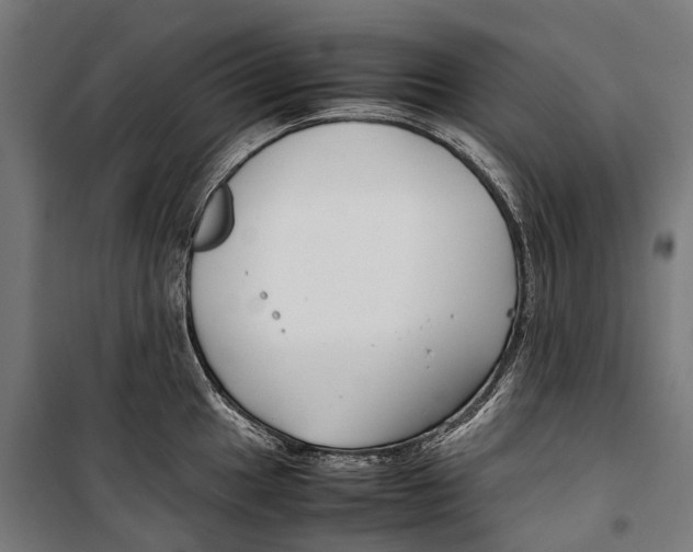 X0000099941049200806201115