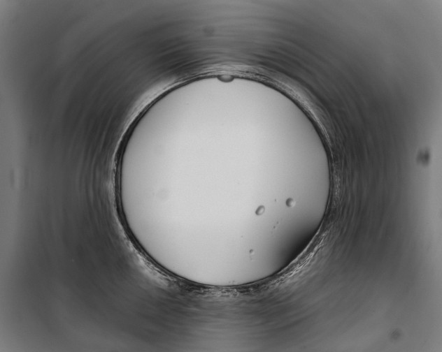 X0000099941050200806201116