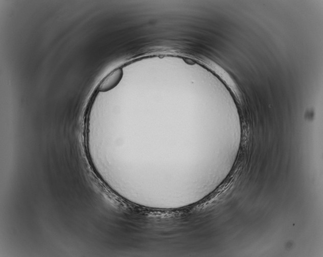 X0000099941051200806201116