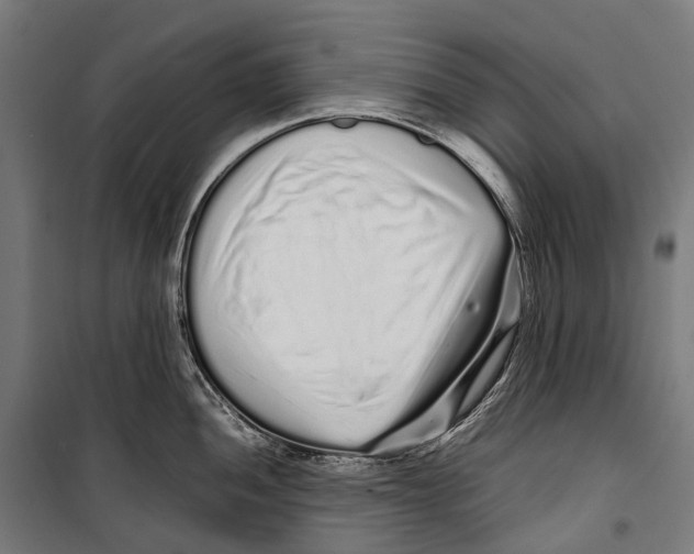 X0000099941052200806201116