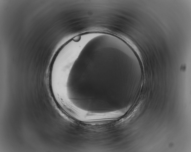 X0000099941053200806201116