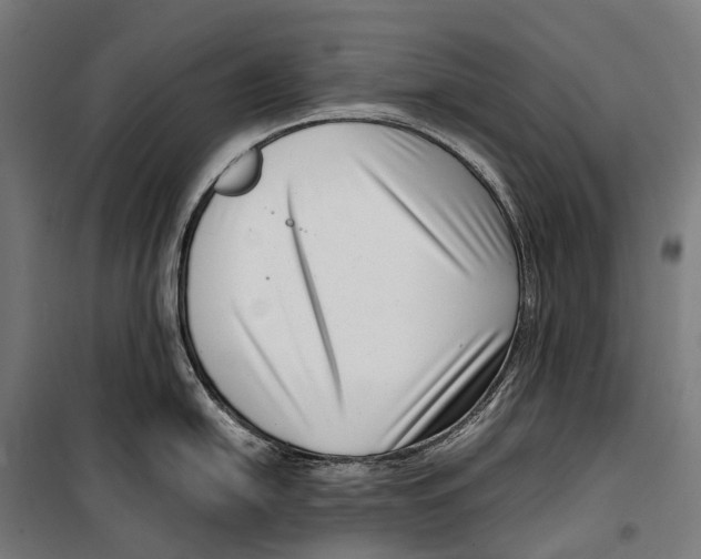 X0000099941054200806201116